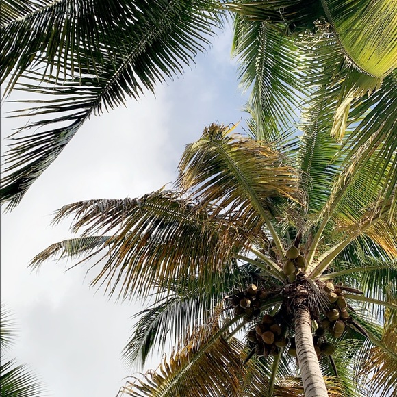 Meet your Posher, Caitlin - Picture 1 of 1